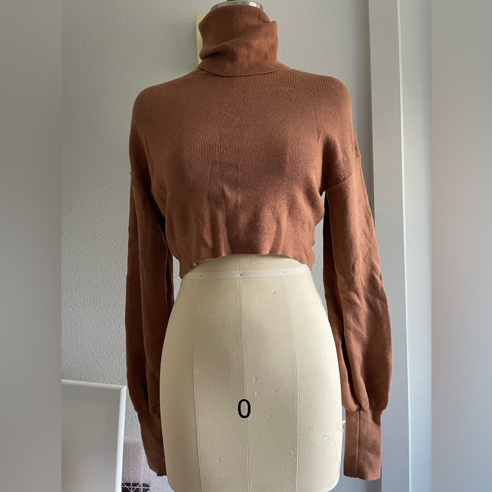 Aritzia Cropped turtleneck